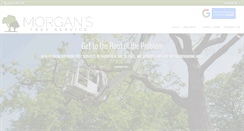 Desktop Screenshot of morganstree.com